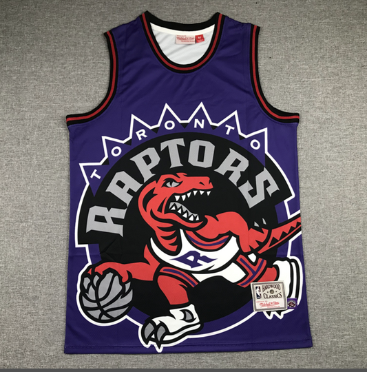 Vince Carter Hardwood Classic Jersey Purple