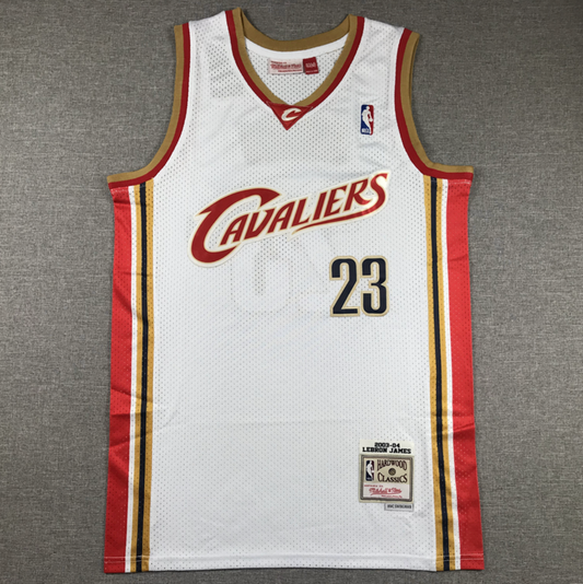 LeBron James Cleveland Cavaliers Hardwood Classics Swingman Jersey - White